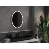 Mexen Elz osvetlené kúpeľňové zrkadlo 60 x 80 cm, LED 6000K, proti hmle - 9802-060-080-611-00
