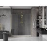 Mexen Velar Duo posúvacie sprchové dvere 170 cm, Priehľadné, zlaté - 871-170-000-02-50