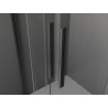 Mexen Velar Duo posuvné sprchové dvere 200 cm, transparentné, gun gray brúsený - 871-200-000-02-66