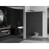 Mexen Kioto sprchová stena Walk-in 80 x 200 cm, zrkadlo 8 mm, gun metal - 800-080-101-95-50