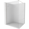 Mexen Kioto sprchová stena Walk-in 120 x 200 cm, priehľadné 8 mm, nerezová úprava - 800-120-101-97-09