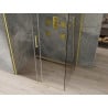 Mexen Omega sprchová kabína, posuvné dvere 120 x 90 cm, transparentnéné, zlatá - 825-120-090-50-00