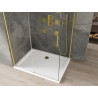 Mexen Omega posuvný sprchový kút 120 x 100 cm, transparentný, zlatý + brodzik Flat - 825-120-100-50-00-4010