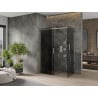 Mexen Omega posuvná sprchová kabína 160 x 90 cm, grafit, chróm - 825-160-090-01-40