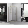Mexen Exo-S Duo polkruhová sprchová kabína posuvná 100 x 100 cm, transparentná, zlatá - 8132-100-100-50-00