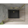 Mexen Omega Posuvná sprchová kabína 100 x 90 cm, transparentná, zlatá + vanička Flat, čierna - 825-100-090-50-00-4070G