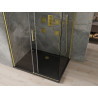 Mexen Omega Posuvná sprchová kabína 100 x 90 cm, transparentná, zlatá + vanička Flat, čierna - 825-100-090-50-00-4070G