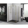 Mexen Exo-BR sprchovací kút s otváracími dverami 75 x 80 cm, transparentný, zlatý - 8181-075-080-50-00