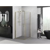Mexen Exo-B sprchový kút sklopný 100 x 100 cm, transparentný, zlatý - 817-100-100-50-00