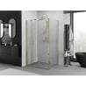 Mexen Exo skladací sprchovací kút 100 x 75 cm, transparentný, zlatý - 816-100-075-50-00