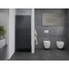 Mexen Pretoria sprchové dvere výklopné 80 cm, grafit, chróm - 852-080-000-01-40
