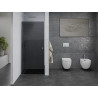 Mexen Pretoria sprchové dvere otváracie 90 cm, grafit, chróm - 852-090-000-01-40