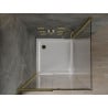 Mexen Omega posuvný sprchový kút 100 x 100 cm, priehľadný, zlatý + sprchová vanička Flat - 825-100-100-50-00-4010