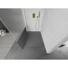 Mexen Kioto Sprchová stena Walk-in 110 x 200 cm, transparentná/matná 8 mm, zlatá - 800-110-101-50-35