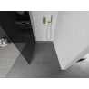Mexen Kioto sprchová stena Walk-in 120 x 200 cm, grafit 8 mm, zlatá - 800-120-101-50-40