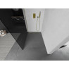 Mexen Kioto sprchová stena Walk-in 100 x 200 cm, grafit 8 mm, zlatá - 800-100-101-50-40