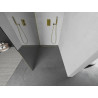 Mexen Kioto sprchová stena Walk-in 120 x 200 cm, zrkadlo 8 mm, zlatá - 800-120-101-50-50