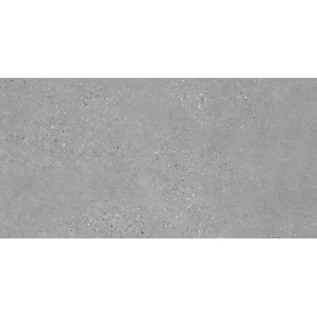Mexen Inspira Grey glazovaný rekt. G1, dlaždica podlahovo-stenová 120 x 60 cm, matná - TL303-120-060-02