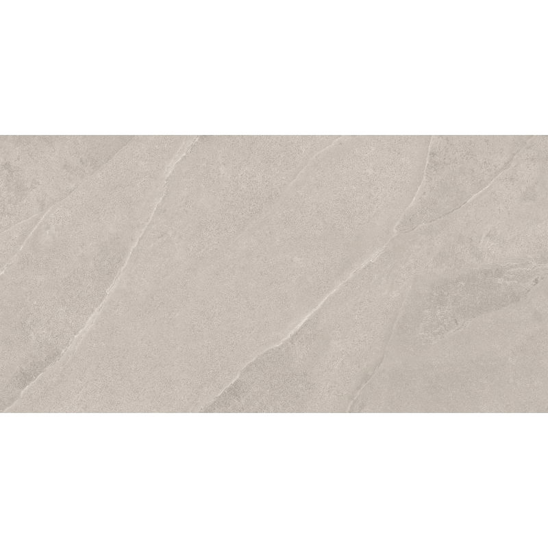Mexen Aryan Silver leštený gres rekt. G1, dlaždica podlahovo-stenová 120 x 60 cm, mat - TL310-120-060-05