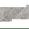 Mexen Lizard Grey gres glazovaný rekt. G1, podlahovo-stenová dlaždica 120 x 60 cm, lesk - TL109-120-060-02