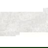 Mexen Lizard Silver leštený gres rekt. G1, podlahová a stenová dlaždica 120 x 60 cm, lesk - TL109-120-060-03