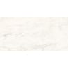 Mexen Belco Grey leštený glazovaný gres rek. G1, podlahová a stenová dlaždica 120 x 60 cm, lesk - TL114-120-060-00