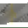 Mexen Lunar sprchové dvere výkyvné pravé 115 cm, transparentné, zlaté - 834-115-000-50-00-P