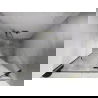 Mexen Lunar sprchové dvere výkyvné pravé 115 cm, transparentné, zlaté - 834-115-000-50-00-P
