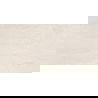 Mexen Homes Ivory glazovaný gres rek. G1, dlažba na podlahu a stenu 120 x 60 cm, lesk - TL151-120-060-02