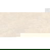 Mexen Nairobi béžový glazovaný rektifikovaný gres G1, podlahová a nástenná dlaždica 120 x 60 cm, lesk - TL160-120-060-00