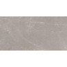 Mexen Gloster Svetlosivý leštený gres rekt. G1, podlahová a nástenná dlaždica 120 x 60 cm, lesk - TL172-120-060-04