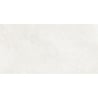 Mexen French Silver lesklý rek. G1, podlahová a stenová dlaždica 120 x 60 cm, lesk - TL173-120-060-01