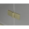 Mexen Lunar L sprchové dvere otočné pravé 70 cm, transparentné, zlaté brúsené - 834L-070-000-55-00-P