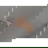 Mexen Lunar-F skladacie sprchové dvere ľavé 80 cm, transparentné, brúsená meď - 836-080-000-65-00-L