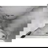 Mexen Lunar L sprchové dvere otváracie pravé 115 cm, transparentné, brúsený nikel - 834L-115-000-97-00-P
