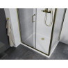 Mexen Apia zásuvná sprchová kabína 120 x 100 cm, transparentná, zlatá + vanička Flat, biela - 840-120-100-50-00-4010G