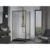 Mexen Apia sliding shower cabin 140 x 80 cm, transparent, gold + Flat tray, black - 840-140-080-50-00-4070G