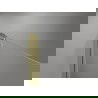 Mexen Mist-B sprchové dvere otváracie 75 cm, transparentné, zlaté kartáčované - 8A2-075-000-55-00