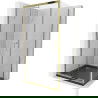 Mexen Apia sprchový kút posuvný 100 x 100 cm, transparentný, zlatý + vanička Flat, čierna - 840-100-100-50-00-4070G