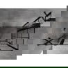 Mexen Mist Duo skladacia sprchová kabína 100 x 95 cm, čierna mriežka, čierna - 8A4-100L-095P-70-77