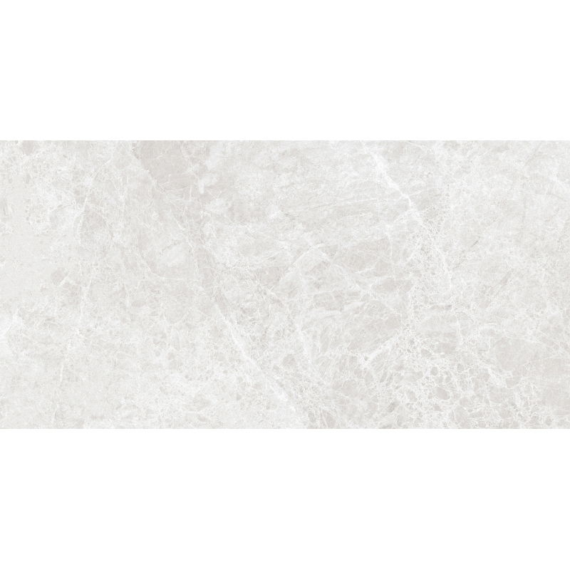 Mexen Lizard Strieborná vzorka glazovanej rektifikovanej gresy G1, podlahová-stenová dlažba 120 x 60 cm, lesk - TL109-03-S