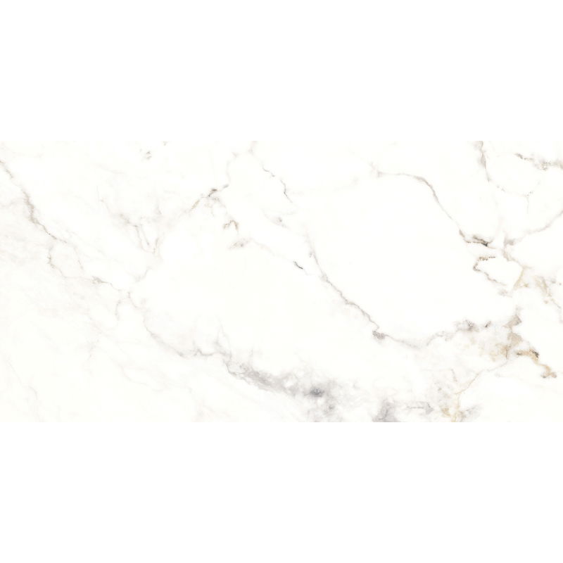 Mexen Scordia Šedá vzorka glazovanej gresovej dlaždice rek. G1, podlahová a stenová dlaždica 120 x 60 cm, lesk - TL125-00-S