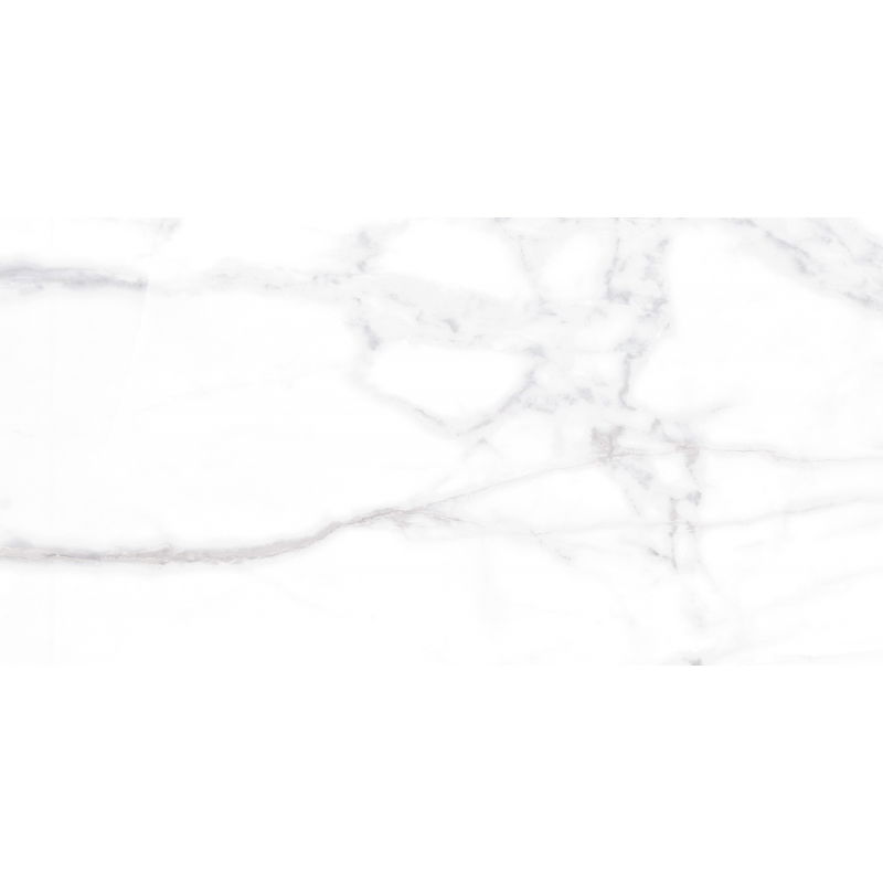 Mexen Viola Šedá vzorka glazovaného rekt. G1, dlaždica podlahová-stenová 120 x 60 cm, lesk - TL130-02-S