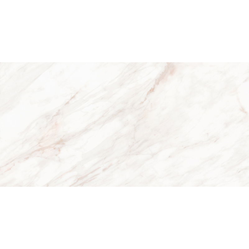 Mexen Forever Sivá vzorka rektifikovanej glazovanej dlaždice G1, podlahová-stenová dlaždica 120 x 60 cm, lesk - TL139-00-S