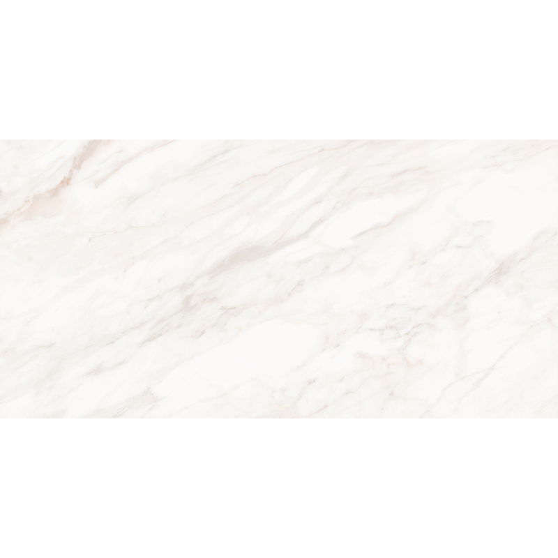 Mexen Forever Sivá vzorka rektifikovanej glazovanej dlaždice G1, podlahová-stenová dlaždica 120 x 60 cm, lesk - TL139-00-S