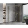 Mexen Mist-H L Duo sprchová kabína rovná pravá 100 x 110 cm, transparentná, zlatá kartáčovaná - 8A5L-100L-110P-55-00