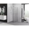 Mexen Exo-S Duo štvorcový sprchový kút s posuvnými dverami 95 x 95 cm, transparentný, chróm - 8111-095-095-01-00