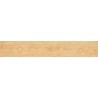 Mexen Gaatha Rialto glazovaný rek. G1, drevopodobná dlaždica podlahovo-stenová 120 x 20 cm, matná - TL603-120-020-01