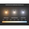 Mexen Vintis Žiarovka filament LED E27, G45, 2W, Teplá - 2700K, 240 lm, číra - L156-E27-0227-00