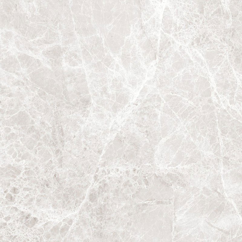 Mexen Lizard Strieborná glazovaná rektifikovaná gresová dlaždica G1, podlahovo-stenná dlaždica 60 x 60 cm, lesk